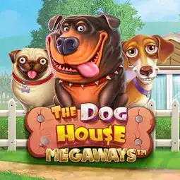 The Dog House Megaways game at Buzz Casino for United Kingdom players